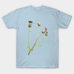 Three Insects On Flower T-Shirt